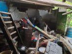 gempa-bumi-berkekuatan-m-54-mengguncang-kota-jayapura-papua.jpg