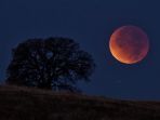 gerhana-bulan_20180128_085228.jpg