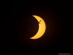 gerhana-matahari-total_20170824_182640.jpg