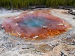 geyser-steamboat_20180501_152620.jpg
