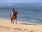 gili-trawangan_20180111_093819.jpg