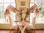 giraffe-manor-nairobi-kenya_20180719_193247.jpg