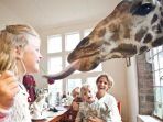 giraffe-manor_20170105_083710.jpg