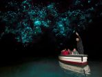 glowworms-cave_20170814_133746.jpg