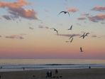 gold-coast-australia_20170421_210706.jpg