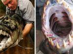 goliath-tigerfish-1.jpg
