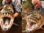 goliath-tigerfish_20180402_115128.jpg