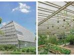 green-house-rumah-atsiri-indonesia-dari-dalam-dan-dari-luar-ruangan.jpg
