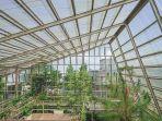 greenhouse-di-rumah-atsiri-indonesia.jpg