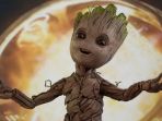 groot_20180520_151606.jpg