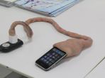 grow-cable_20170819_211144.jpg