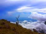 gunung-bawakaraeng-gowa_20180129_081645.jpg