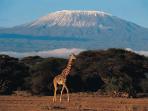 gunung-kilimanjaro_20161207_170923.jpg