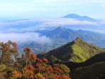 gunung-merbabu_20160804_082534.jpg