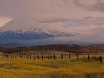 gunung-shasta-tempat-misterius-di-california-dengan-11-kasus-orang-hilang.jpg