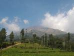 gunung-sumbing_20160815_101803.jpg