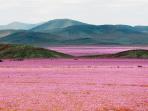gurun-atacama_20161111_195052.jpg