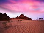 gurun-gobi_20161122_135000.jpg