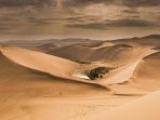 gurun-gobi_20170103_231912.jpg