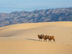 gurun-gobi_20180116_194652.jpg