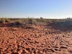 gurun-kalahari-di-afrika.jpg