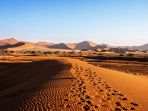 gurun-namib_20180520_150027.jpg