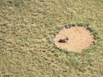 gurun-namibia_20170119_182926.jpg