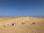 gurun-pasir-jepang-tottori.jpg