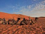 gurun-sahara-gambar.jpg