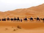 gurun-sahara_20161210_210829.jpg