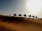 gurun-sahara_20170703_135519.jpg