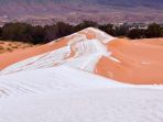 gurun-sahara_20180109_145741.jpg