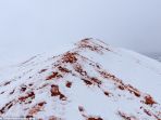 gurun-sahara_20180207_140916.jpg