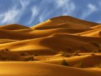 gurun-sahara_20180302_174129.jpg