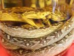 haku-sake_20180925_111537.jpg