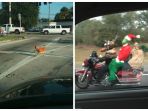 15 Hal Aneh yang Dilihat Seseorang di Tengah Jalan saat Mengemudi, Ada Ayam Nyebrang!