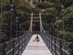 hallasan-national-park-pulau-jeju.jpg