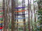 hammock-diikat-di-antara-pohon-pinus-di-top-selfie-pinus-kragilan.jpg