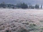 hamparan-embun-es-berwarna-putih-menyelimuti-kawasan-dataran-tinggi-dieng.jpg