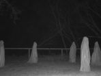 hantu_20170505_210541.jpg