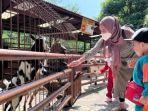 harga-tiket-masuk-predator-fun-park-2023.jpg