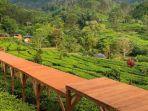 harga-tiket-masuk-wisata-gunung-mas-2023.jpg