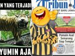 harimau-cisewu_20170827_173409.jpg