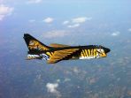 harimau_20170322_161924.jpg