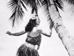 hawaii_20170828_171816.jpg