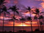 hawaii_20170912_193608.jpg