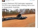Fakta Menarik - Heboh! Ada Sapi dan Helikopter yang Bertarung, Ini Pemenangnya
