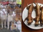 hidangan-kucing_20180316_163333.jpg