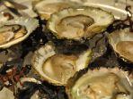 hidangan-oyster.jpg