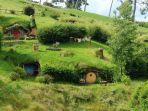 hobbiton-movie-set-di-matamata-selandia-baru.jpg
